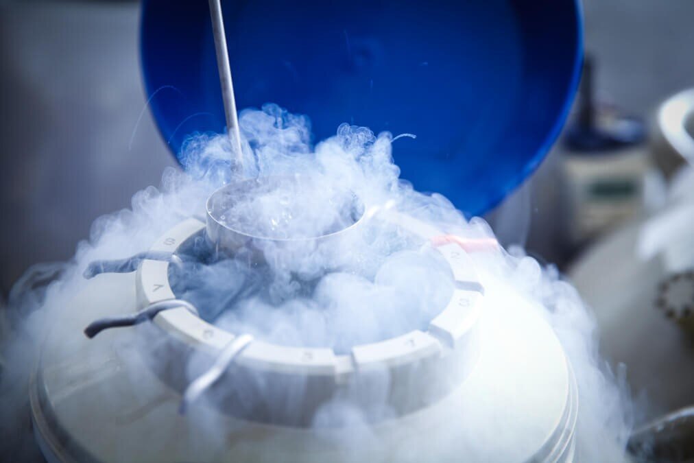 картинка отсюда: https://www.baby-ivf.ru/blog/krioperenos-embriona-osobennosti/