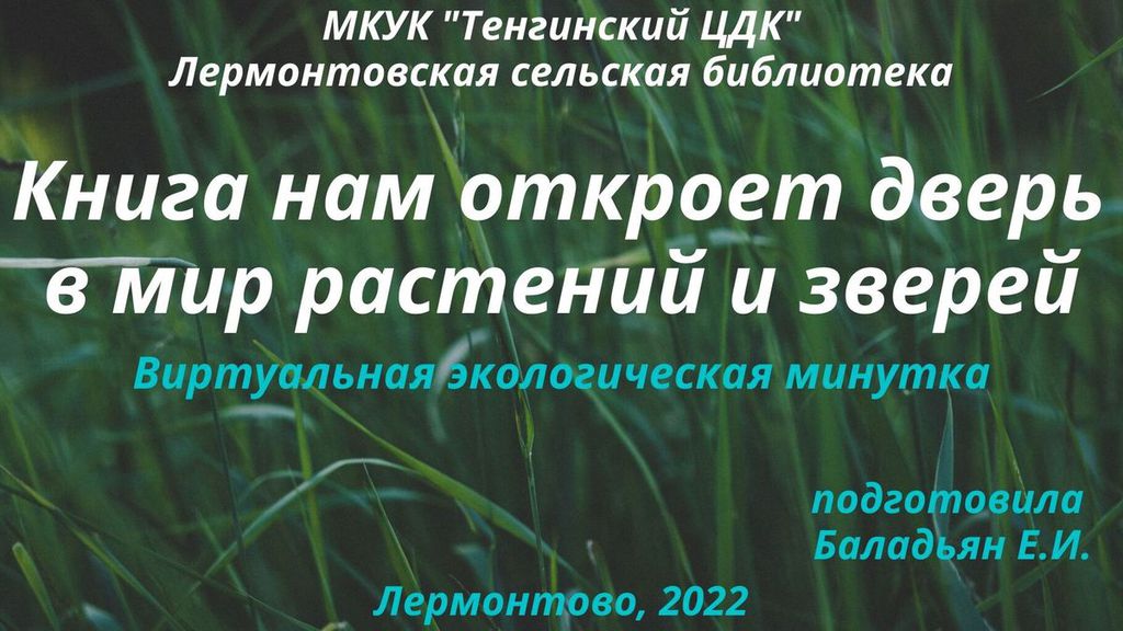 Лермонтовская минутка