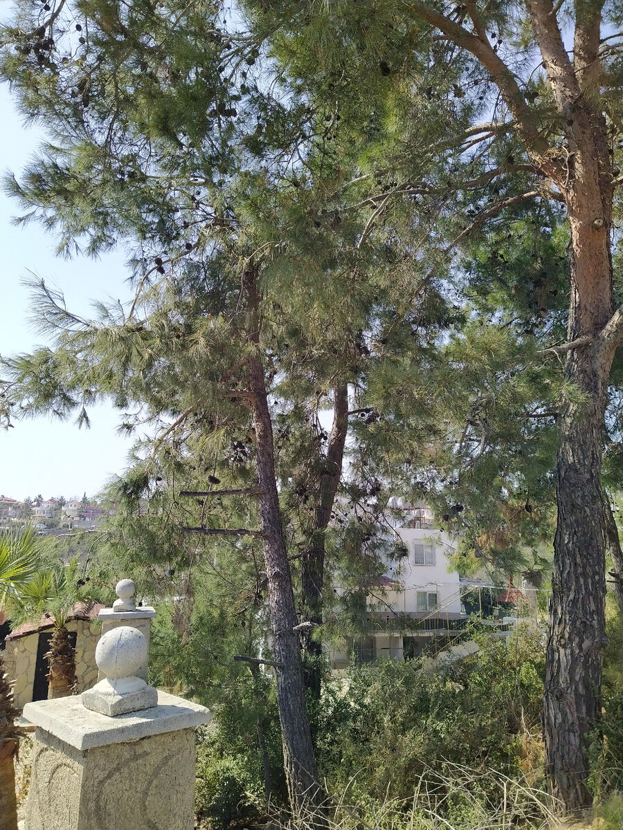 Листайте. Все фото мои.