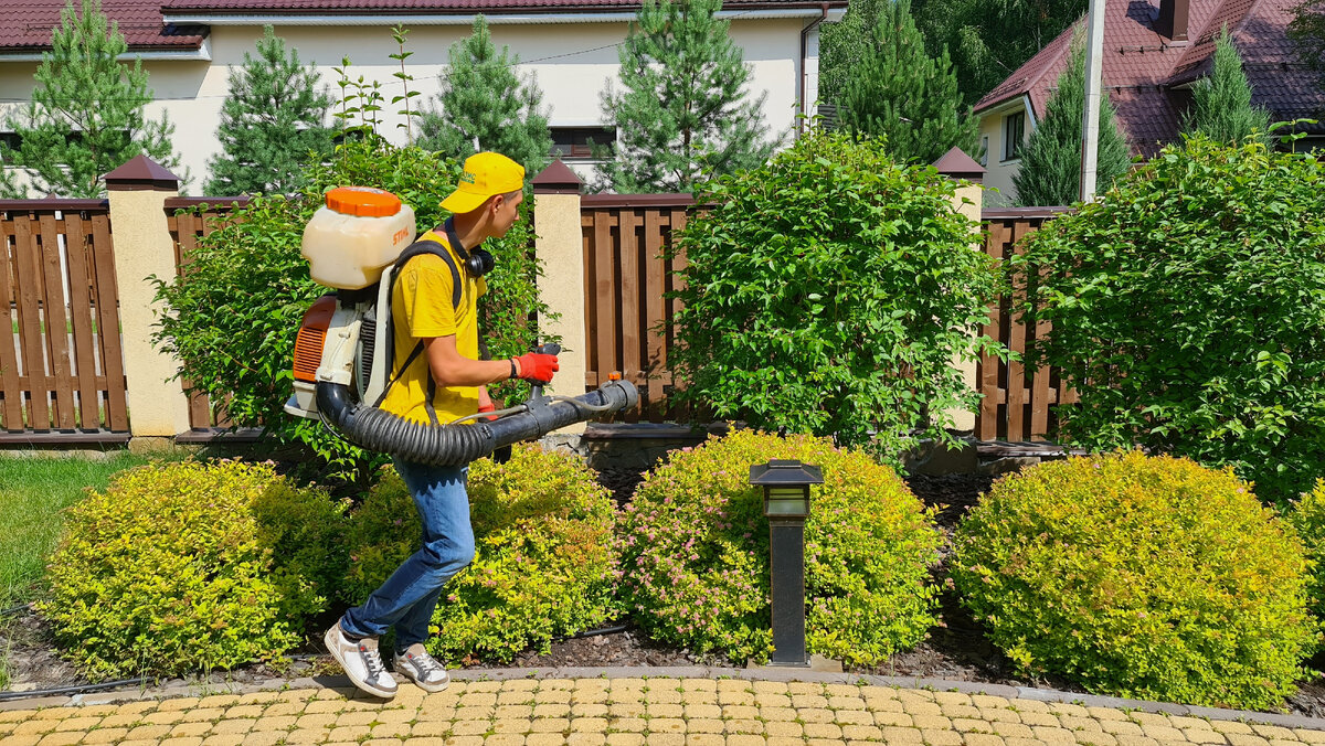 Обработка сада от болезней и вредителей "Оазис Групп" oasis-landscape.ru