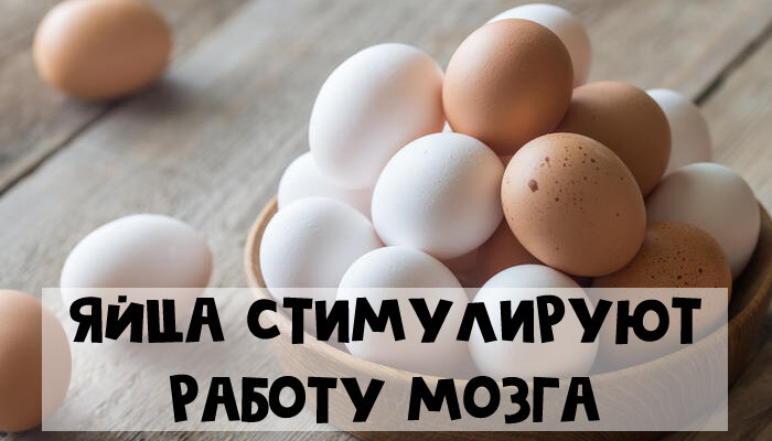 Calorizator.ru