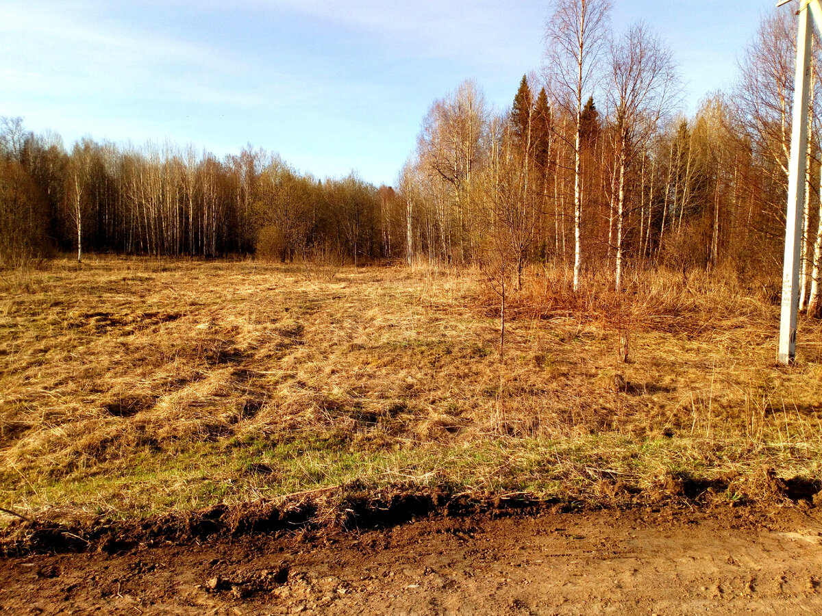 личный архив. Мой участок