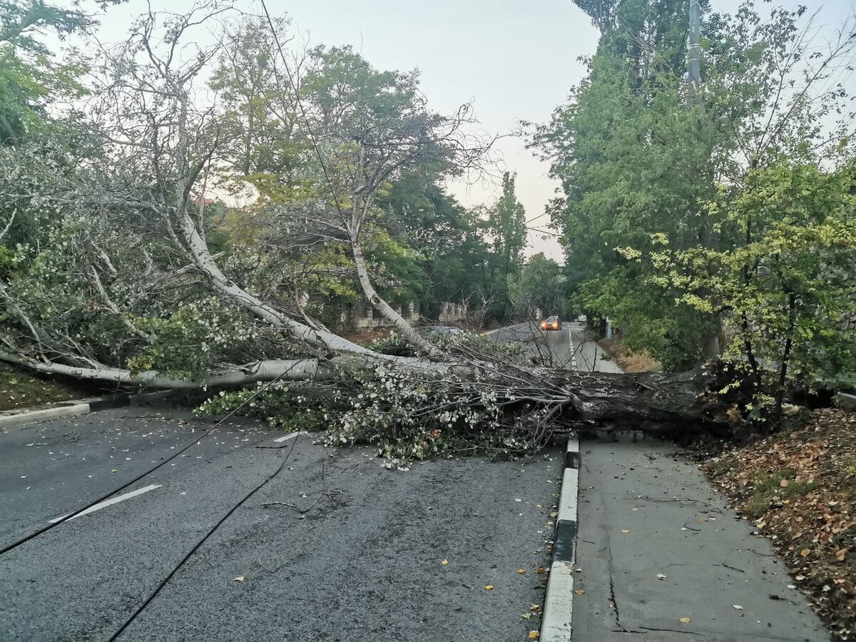 Фото из открытого источника.