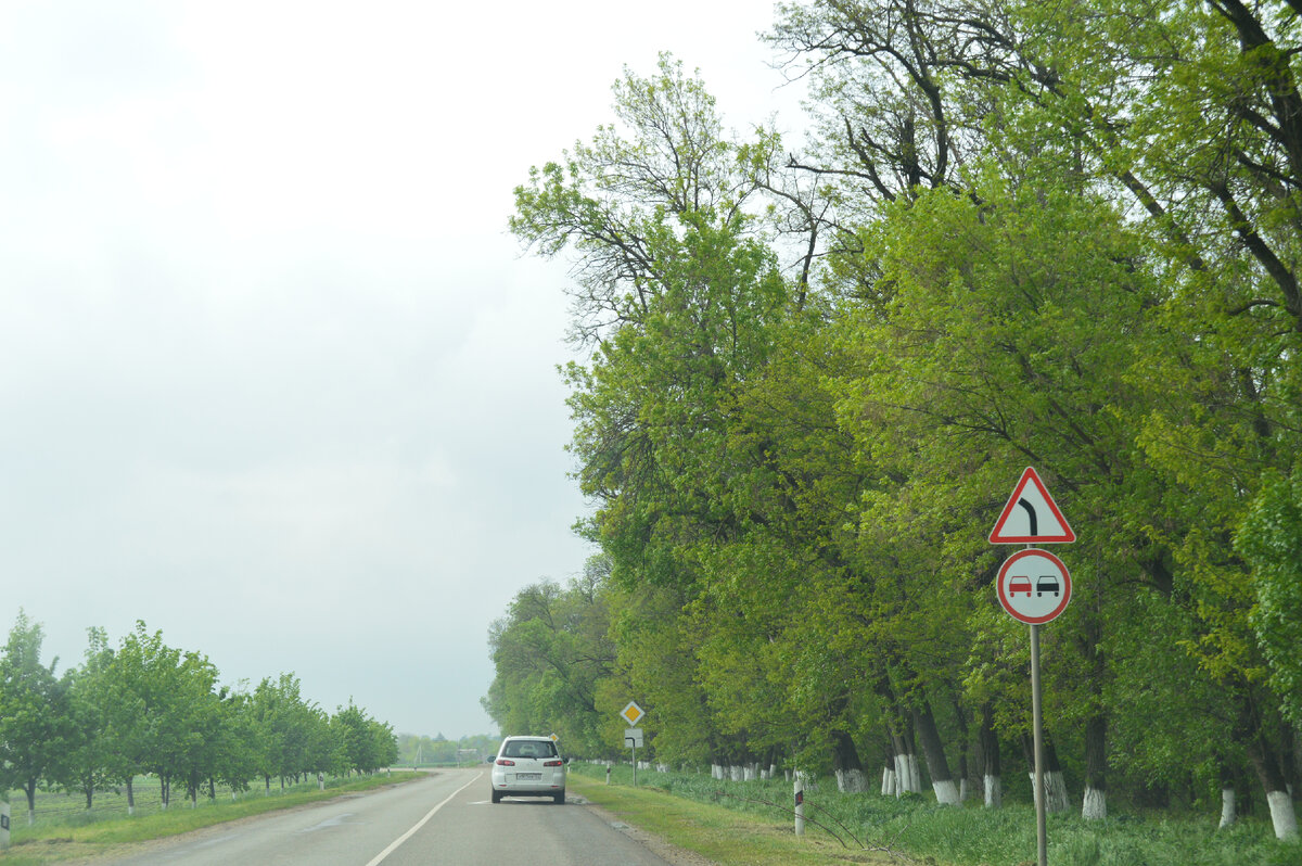 Фото автора. Это не зимник, это Кубань.