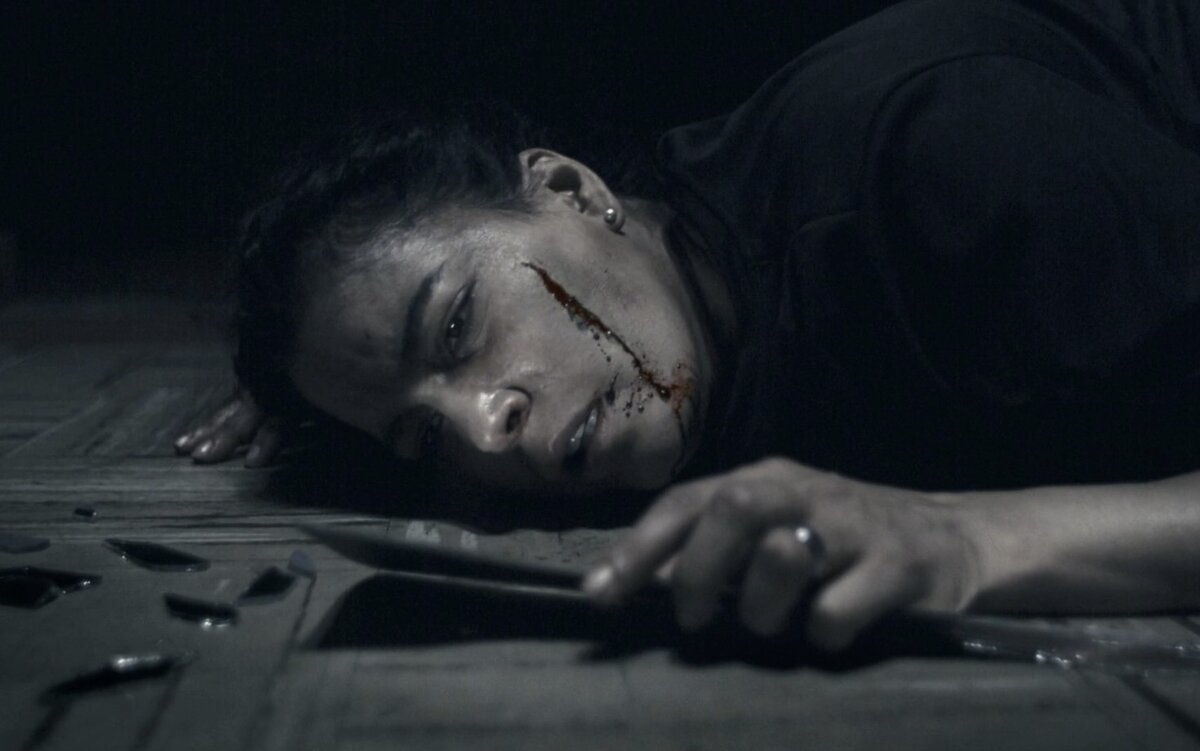 Ужасы, фэнтези, триллер, драма, детектив. Венесуэла. В главных ролях: Рудди Родригес, Гильермо Гарсия, Гонсало Куберо.