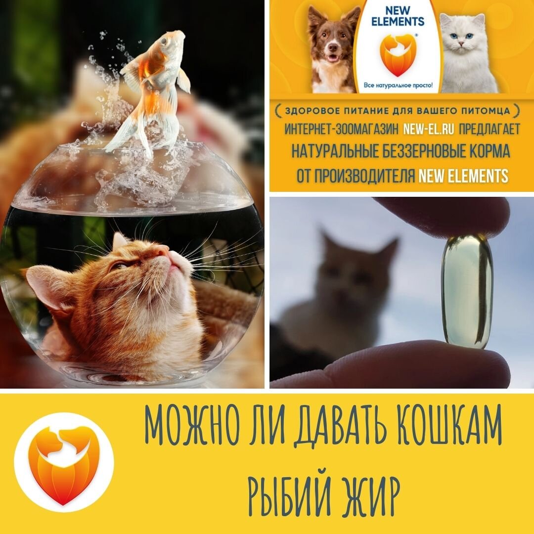 Подпишись в нашу группу и получай полезную информацию ежедневно!