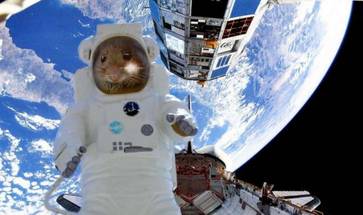 Кажется я чайник дома на плите оставил