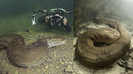 Страшные находки под водой фото