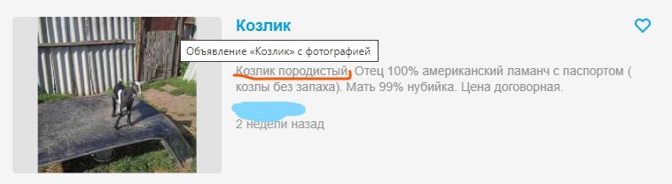 Сегодня расскажу, как я выбирала и покупала козу. После несчастья с моей Буськой, я конечно очень сильно горевала, но жизнь продолжается и надо идти дальше.-2-3