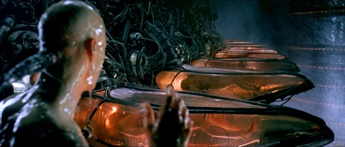 Нео проснулся в Реальности. Оказалось всё хуже, чем можно ожидать. К/ф Матрица