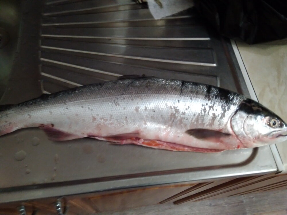 Первая нерка.