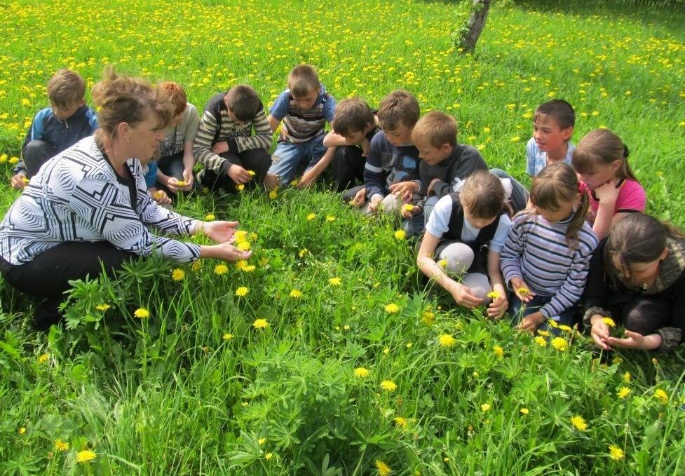 Проект на тему экскурсия на природу