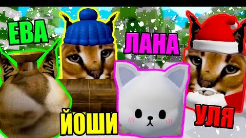 САМЫЕ СЛОЖНЫЕ СКИНЫ ШЛЁП! Roblox Find The Floppa Morphs