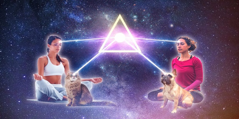 животные, люди, души, связь. Картинка взята с открытого источника Yandex.ru