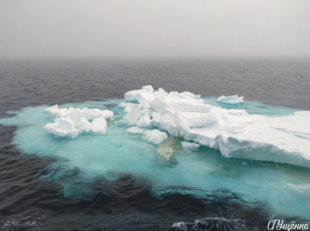 Фото М.Ю. Червякова 