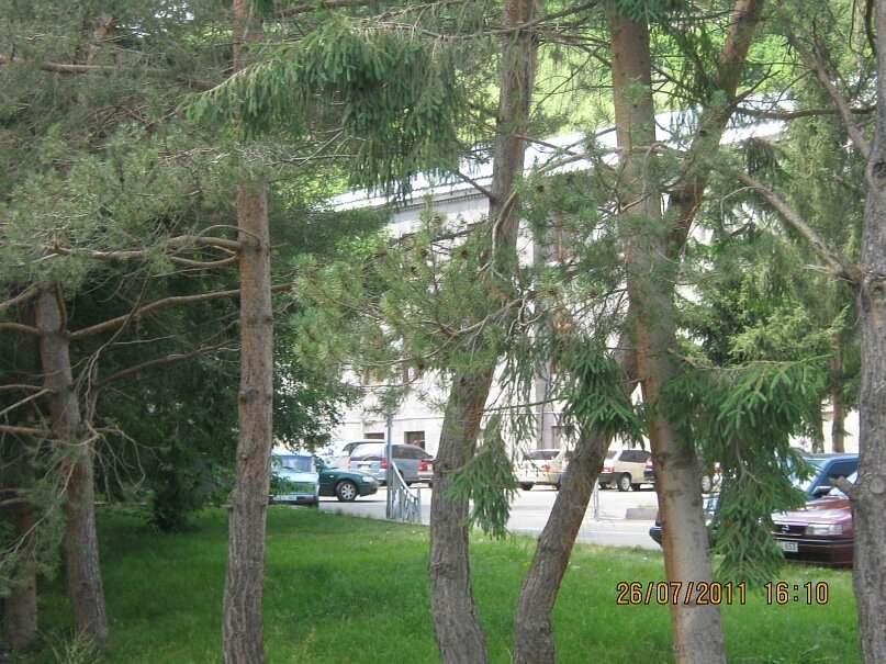 воздух в Джермуке вкусный и целебный