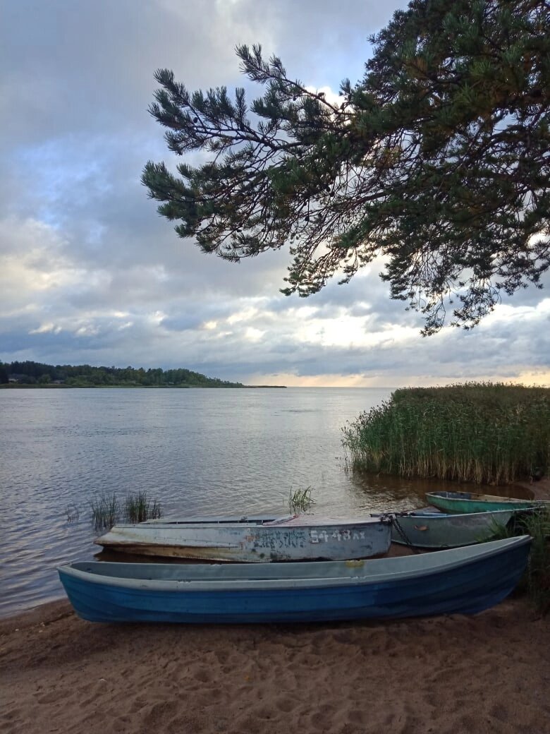Река "Бурная" и Ладога рядом.