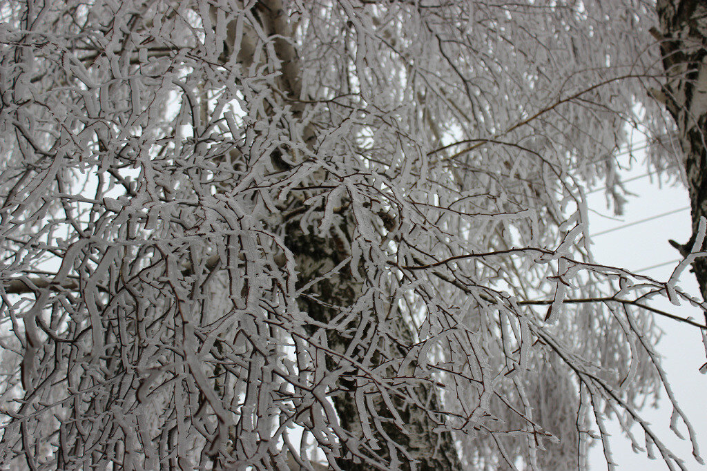 Фото автора канала