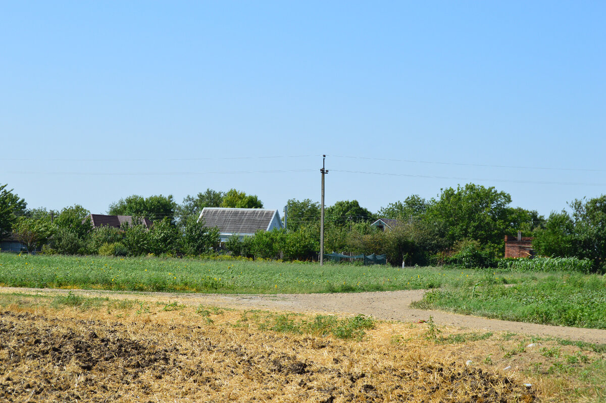 Фото автора. Хуторские дороги.