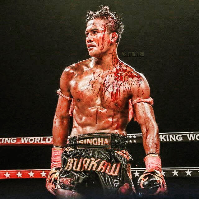 Праймовый Буакав | valetudo.ru 