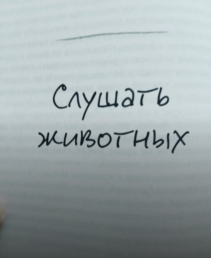 Начало книги