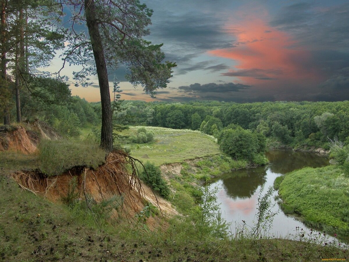 Природа Пензенской области . Взято из интернета.
