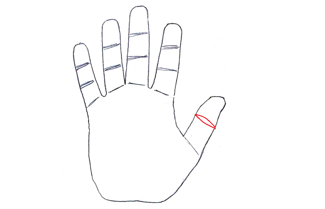 Зерно богатства