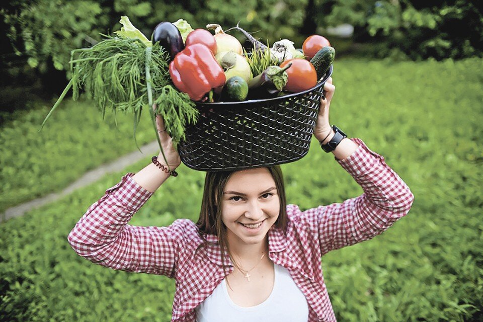     В магазинах и на рынках сплошь импорт. А наши фермеры не знают, куда девать продукцию. Валерий ЗВОНАРЕВ