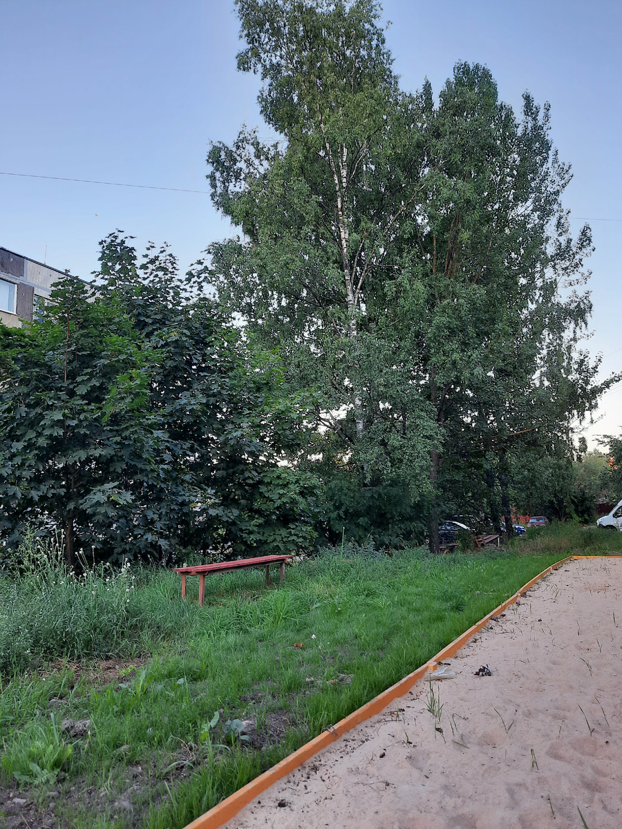 Во дворе дома