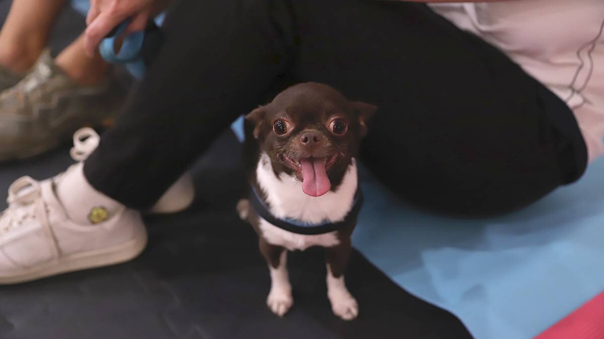    Фото: Анатолий Цымбалюк / Вечерняя Москва