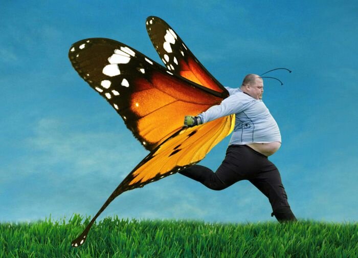 Картинка свободный доступ.