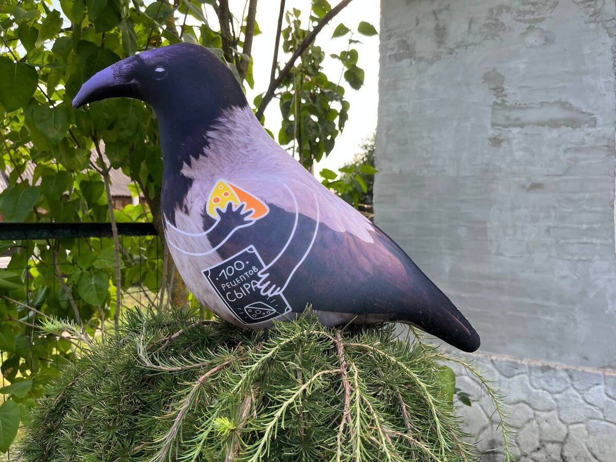 Все под контролем