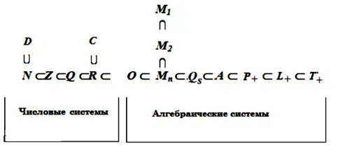 Образование