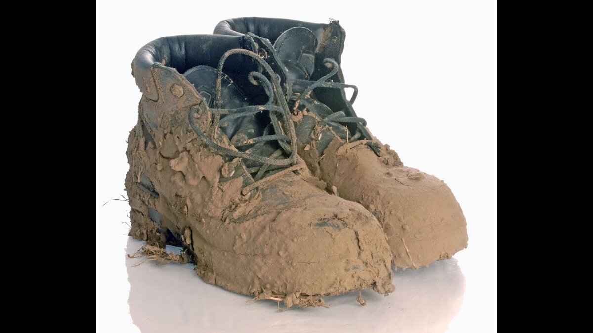 Фото из открытых источников интернета