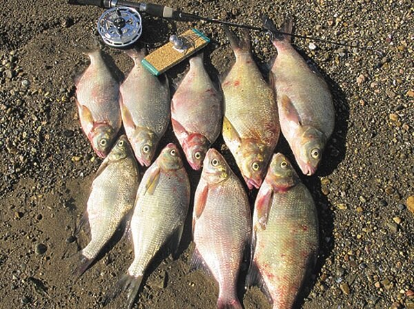     Фото: Елизарова Павла.