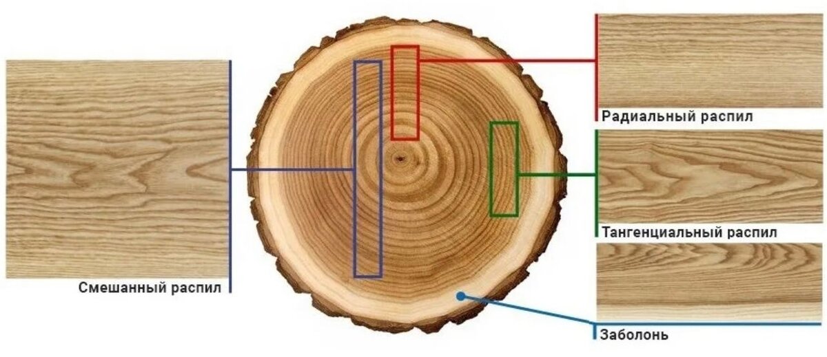 Радиальная древесина. Тангентальный срез древесины. Радиальный и тангенциальный распил древесины. Тангенциальный распил древесины. Тангенциальный срез дерева.