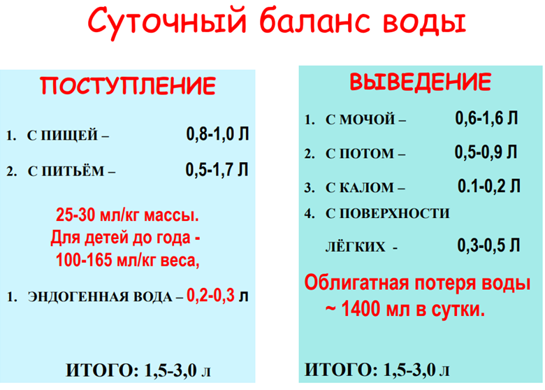 Один из факторов того, что в организме нарушен водный баланс – сухая кожа стоп. | Красота | WB Guru