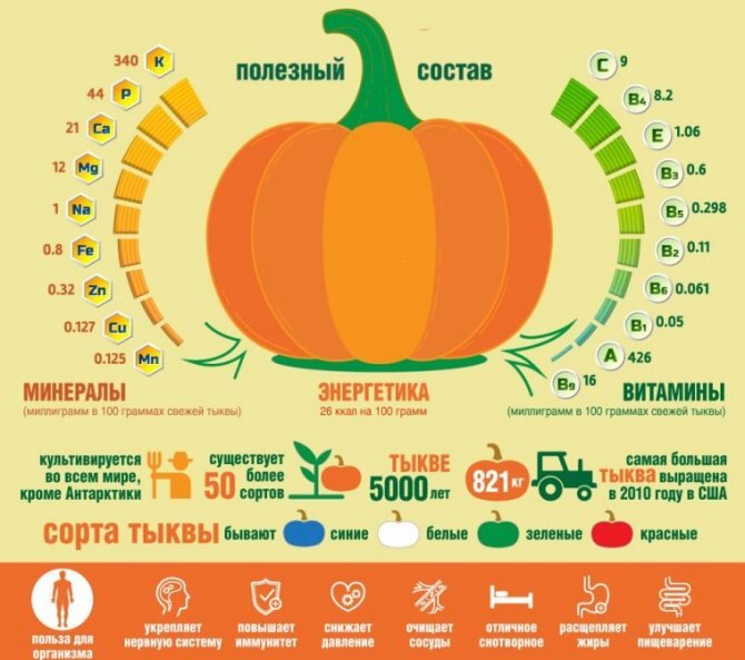 Возрастная коррекция питания – важный вклад в увеличение продолжительности жизни. В рационе пожилого человека должна преобладать легкая для усвоения и богатая нутриентами пища.-2