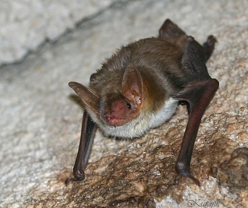 Фото взято из открытых источников