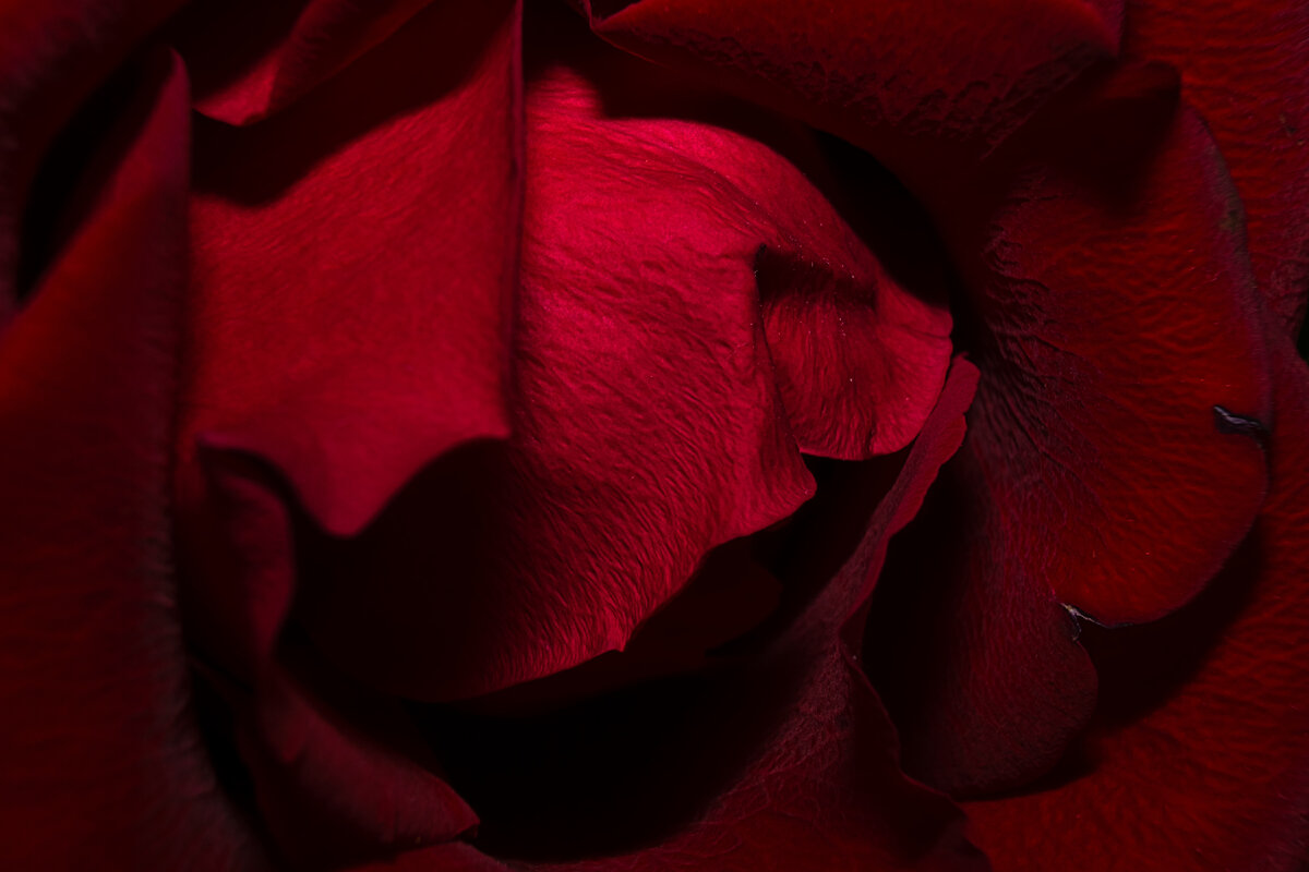 Photo by Joran Quinten on Unsplash