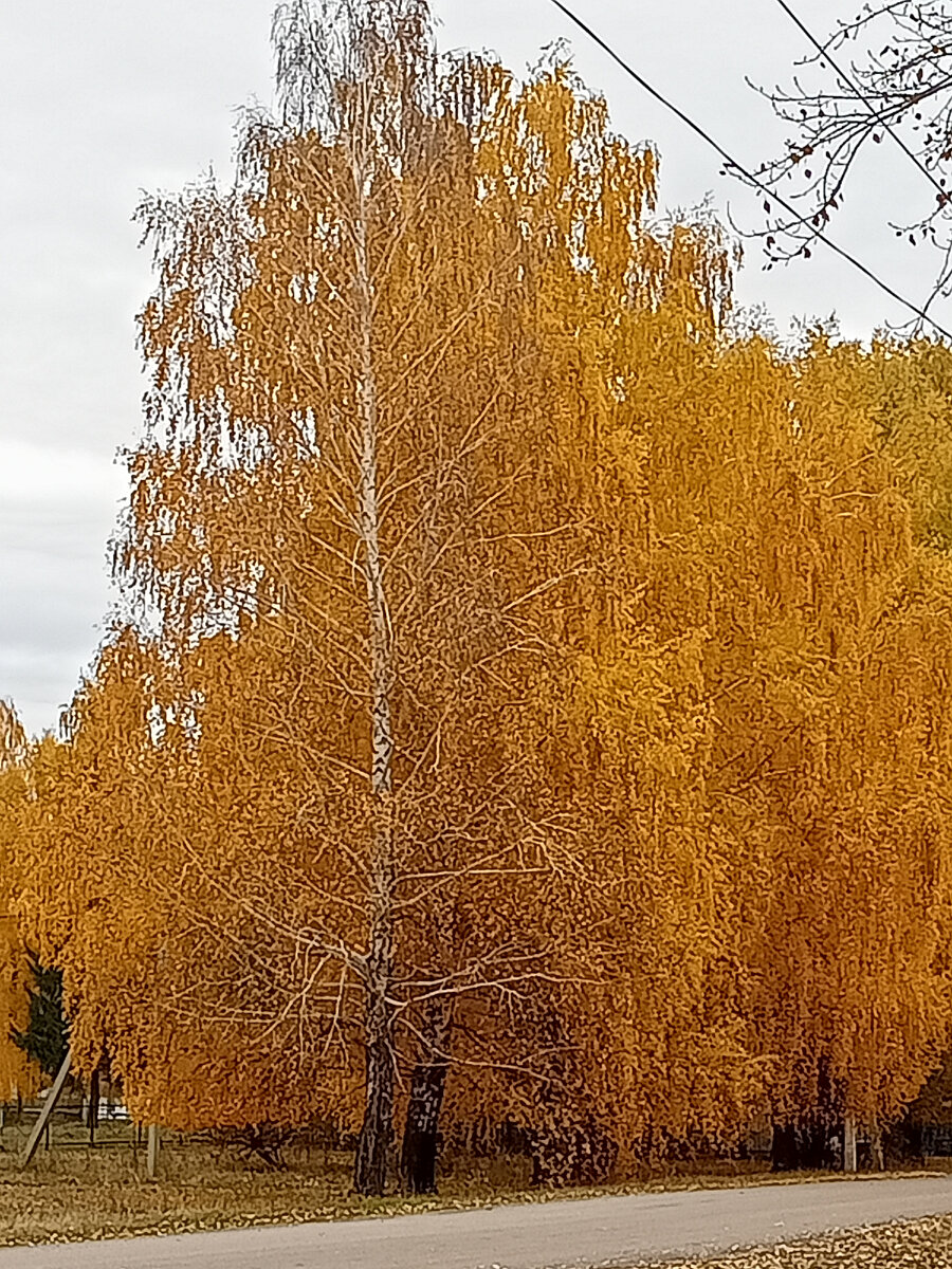 Какая красота.Кто со мной согласен?