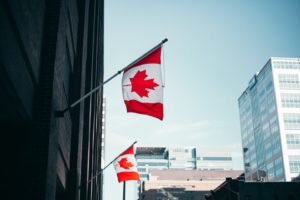    Фото: unsplash.com Ирина Моргунова