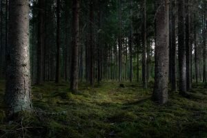    фото: Изображение от wirestock на Freepik Мария Михайловская