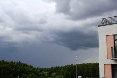    Погода летом в Московском регионе ©Арина Никитина РИАМО