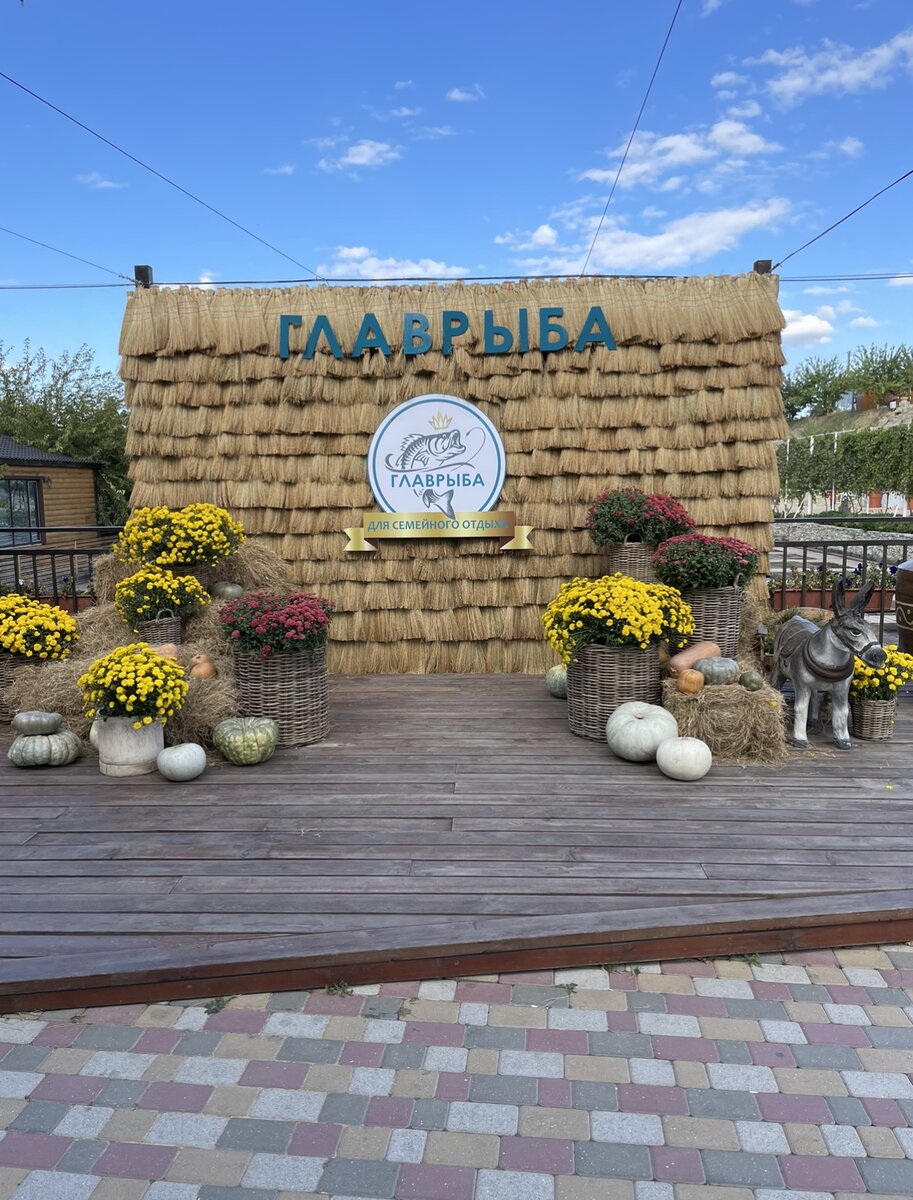 Так встречает гостей турбаза