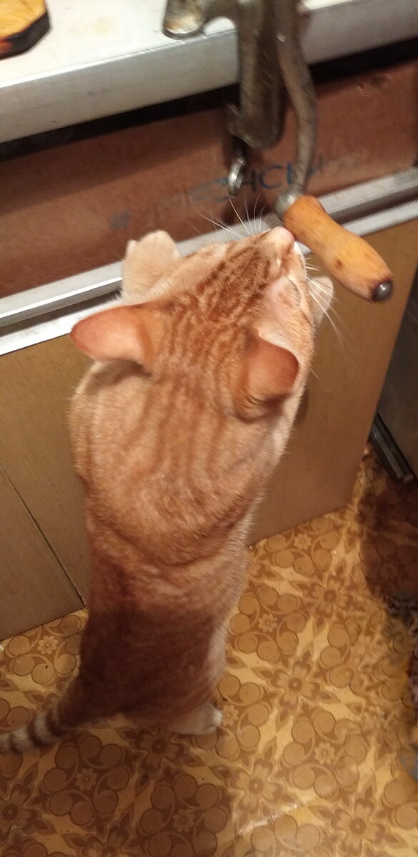 Личное  фото