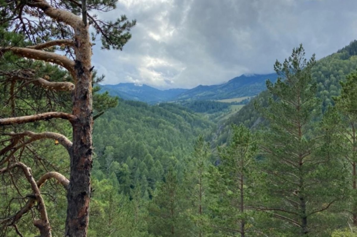    В Сочи на поиски пропавших в горах туристов выехали спасатели МЧС