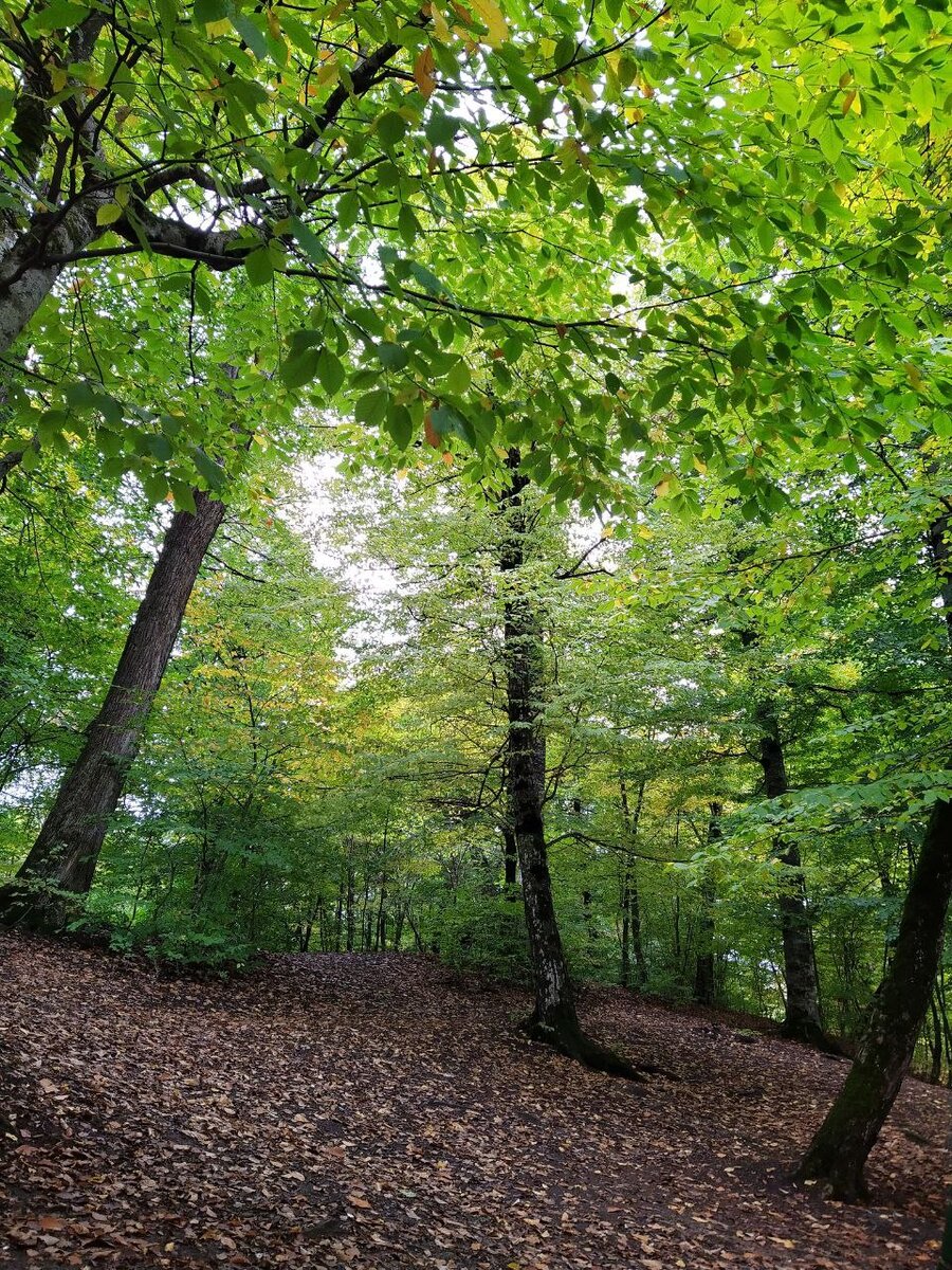 Флешмоб к предобучению мастеров игры ПРОСТО Татьяны Мужицкой и Антона Нефёдова
