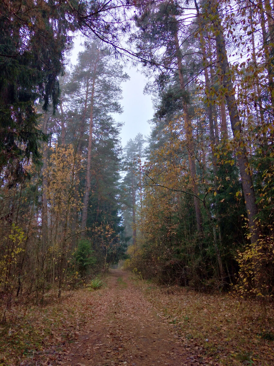 Утро выдалось туманное