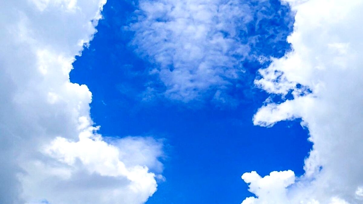 Тест по картинке